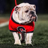 DAWGS89 (@stubborndawg89) 's Twitter Profile Photo