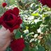Nadeem Khan (@nadeemkhan65668) Twitter profile photo Nadeem Khan (@nadeemkhan65668) Twitter profile photo