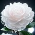 ابومحمد الكروشي (@ijq0sbj1qtqzs4o) Twitter profile photo ابومحمد الكروشي (@ijq0sbj1qtqzs4o) Twitter profile photo