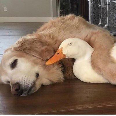 TruthLa101's profile picture. Love art 🖼️, nature, interested in international relations, no dm’s please