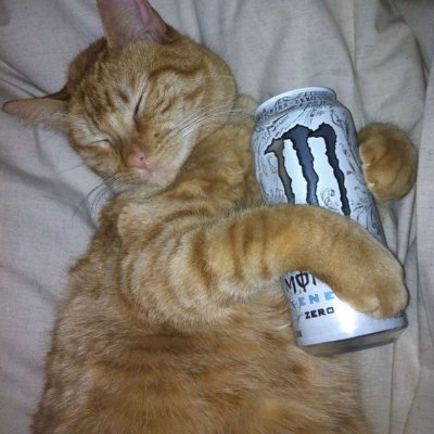 jo_vazne's profile picture. Sippin on jabkovice 🇨🇿 FSS MUNI