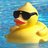 Cool Duck