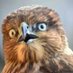 Rurly Serious (@rurlyserious) Twitter profile photo Rurly Serious (@rurlyserious) Twitter profile photo