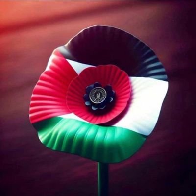 zukham's profile picture. Humanity is Priority.Staunch Secularist. No political affiliation. Love Sub-Continent history/geography. Love languages & Nihari 😉
Retweets aren't endorsements