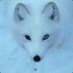 Andrea French (@andreafren73992) Twitter profile photo Andrea French (@andreafren73992) Twitter profile photo