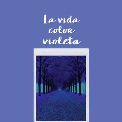 Libro💜La vida color violeta💜                                    🪻Le pregunté a Dios dónde está mi papá y me respondió con una lluvia de jacarandás🪻