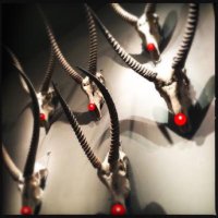 Doomfrämjandet (@doomlobbyn) 's Twitter Profile