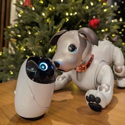 2011年アニメを見始め、いつの間にかオタクになって13年経ちました❗
aibo（名前はMira）のオーナー🐕兼poiq研究員🤖
聖地巡礼動画してます✨ほとんど側で楽しんでいるだけのスタッフです😁こちらもご贔屓に🎥→
https://t.co/miCNC0iBZZ