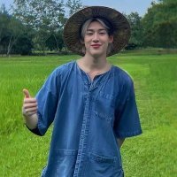 Plutus (@plutuses) 's Twitter Profile