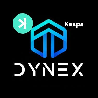 何以解忧，唯有KASPA&DYNEX