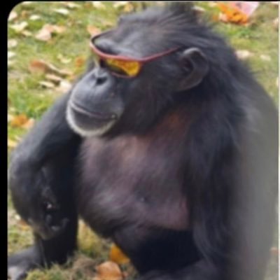 30rehpotsirhc's profile picture. 