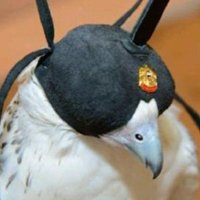 ρ̃̾я̃̾ı̃̾и̃̾c̃̾é🥂 (@183seedy) 's Twitter Profile Photo ρ̃̾я̃̾ı̃̾и̃̾c̃̾é🥂 (@183seedy) 's Twitter Profile Photo