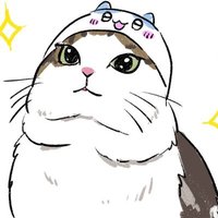 もんじ@歯磨き中年期猫(@6DhLWElvCzBZ5W6) 's Twitter Profile Photo