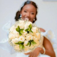 Creative photography (@creativephoto12) 's Twitter Profile Photo