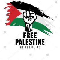 Freedom (@freedom12t1) Twitter profile photo