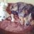 ccporterfield's profile image