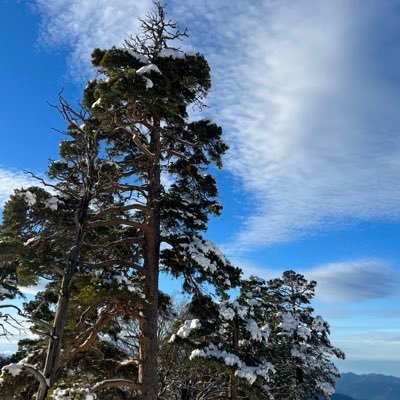 LlP0VqHvuUbhaJu's profile picture. 