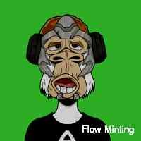 Hash-rate as a service provider nft. 1st alt-coin mining project to pay out in native coins sold out. new drop kas ltc kda ckb doge