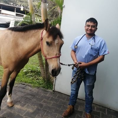 A donde sea, pero conmigo🌱
En proceso de ser Veterinario en la república bananera guatemalteca.
-Revivamos el Duranguense.