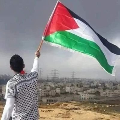 مخيم جنين 2002💔
غزة 2023💔
فلسطينى الهويّة 🇵🇸✌
الارض أرضنا، والديار ديارنا♥️🇵🇸
ما بنترك عن أرضنا إلا على السماء✌🇵🇸