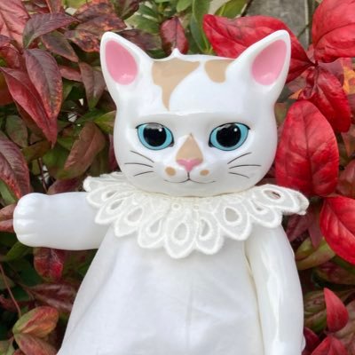 yoakenokane's profile picture. グラフィックデザイナー。猫、ウクレレ、ハワイ好き。100万回生きた猫、美しい彼に沼り中。FANTASTICS、八木勇征、萩原利久、YUKI、Chara、斉藤和義、矢野顕子、安藤裕子、Leyona、ハナレグミ、松田聖子、矢野顕子、玉置浩二、中村倫也、ヒグチユウコ、江國香織、森博嗣、伊坂幸太郎、凪良ゆう、奈良美智（敬称略）
