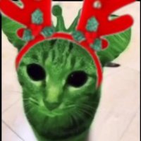 ~ 🐈⬛🍓 (@g0lxf3r0k) 's Twitter Profile Photo ~ 🐈⬛🍓 (@g0lxf3r0k) 's Twitter Profile Photo