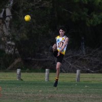 mitchell Treleven (@mitch_treleven) 's Twitter Profile