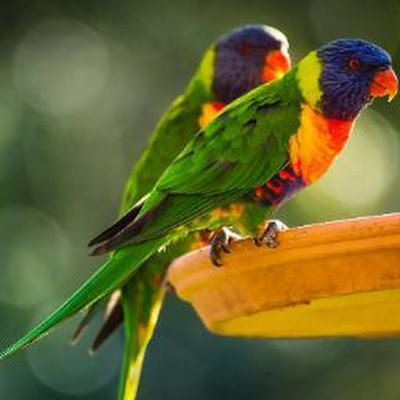 @Samadhan4488
