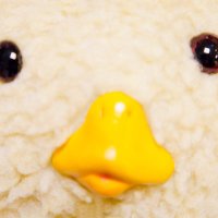 トガリちゃんねる (@togarichannel) 's Twitter Profile Photo