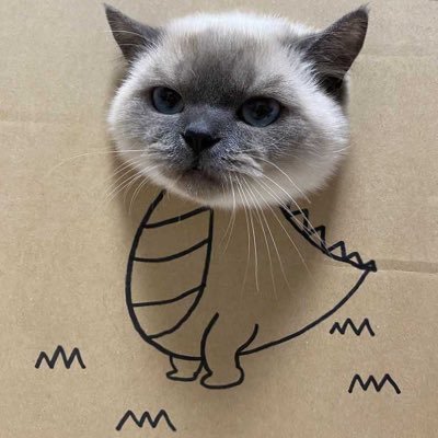 HappyGoBecki's profile picture. ‘Great minds think a lot’ - Rich Vos ——— Anthony Zenhauser superfan @thezencomic.