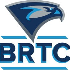 BTRC_Token's profile picture. BTRC is more than a gaming blockchain; it's a community-driven chain and ecosystem where gamers and developers come together to shape the future of the gaming i