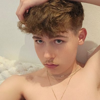 noahhtwinkk Profile Picture