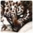 ilythiiril's profile image