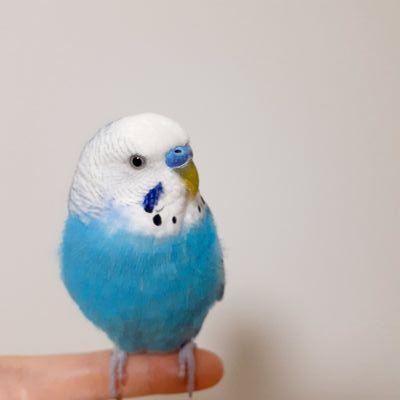 かこさんのプロフィール画像