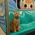 Cats Love Trains #FBPE #StrongerTogether (@catslovetrains) Twitter profile photo