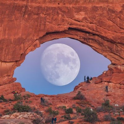 FanMassad36126's profile picture. 