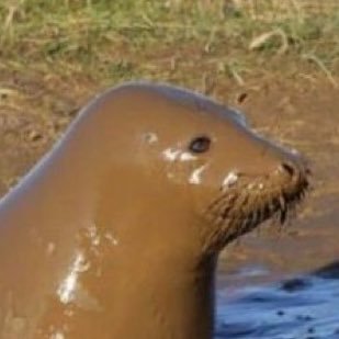 Aahha70's profile picture. 