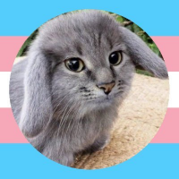 elie(@catboygirlboss) 's Twitter Profile Photo