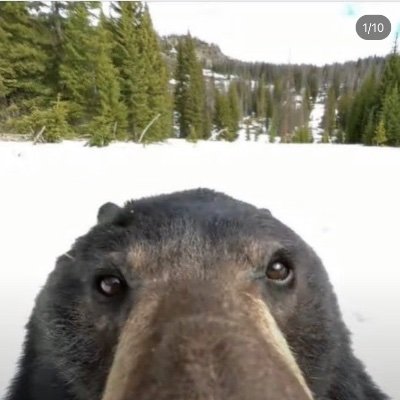 fe_vy8's profile picture. 