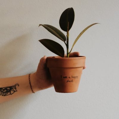 overleap152546's profile picture. 