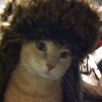 CC02___'s profile picture. CG🔛🔝