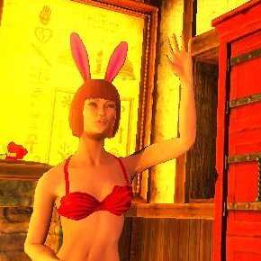 I play video games passionately, but only on the PC and only DRM-free. I do virtual photography and look forward to the weekend every time! Have fun!