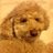 chani_yuki's profile image