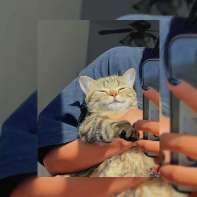 FeyzaKinthearea's profile picture. 'u r my sun, my moon and all my stars' just like that. Ah also more space!