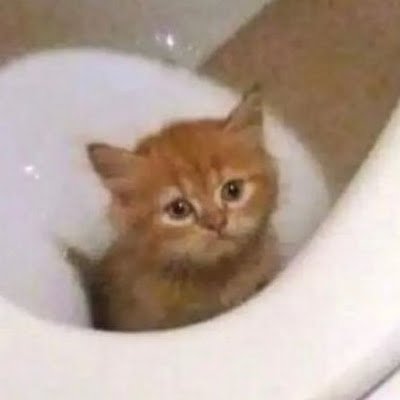ADCodeMADRILLA's profile picture. 