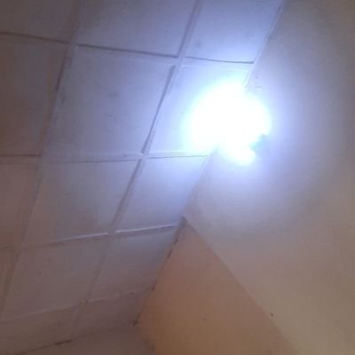 IsaHumel88150's profile picture. 