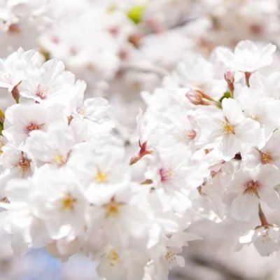 game2earns's profile picture. 