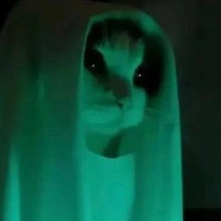 _paltoglou_'s profile picture. 