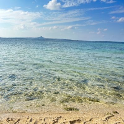 18↑ 九州 おデブです