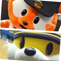 まみーこ(*◡̈) (@mami_ko642_u3u) 's Twitter Profile